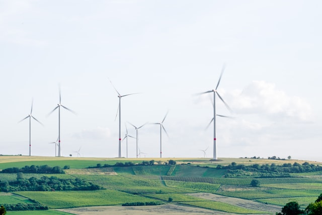 Wind turbines standing tall in a green landscape.