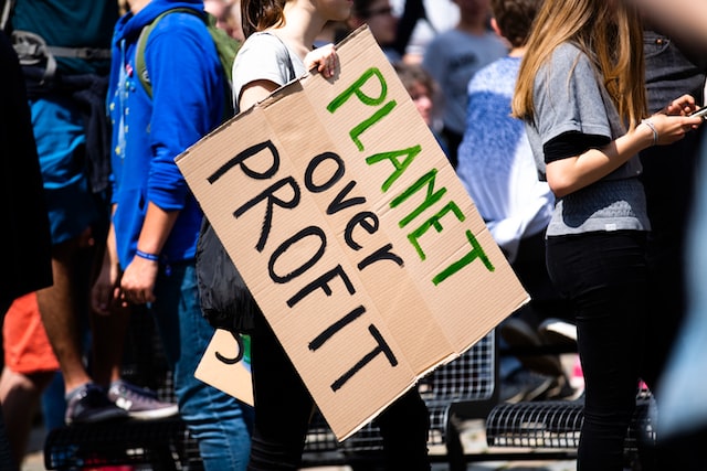 Protester slogan during a global climate strike