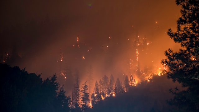 A blaze of a wildfire engulfing a forested area. 