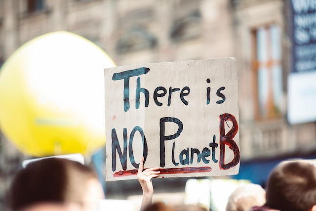 A climate change protester holding a cardboard sign with "There is NO Planet B" written across. 