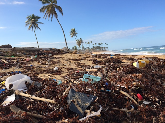 Seashore littered with trash