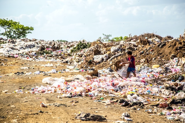 A person picking through trash dumped in a landfill