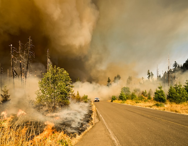 A lone car drives away from a smoke-filled area hit by wildfires