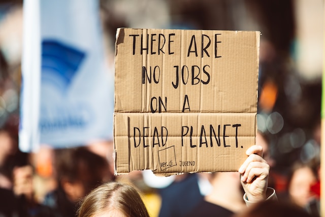Person holding a sign at a climate protest