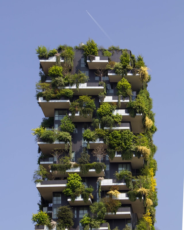 A building covered in plants