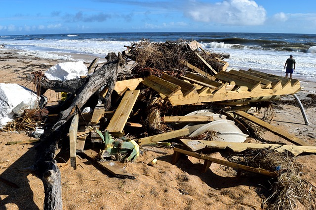 A pile of debris awash on the shore