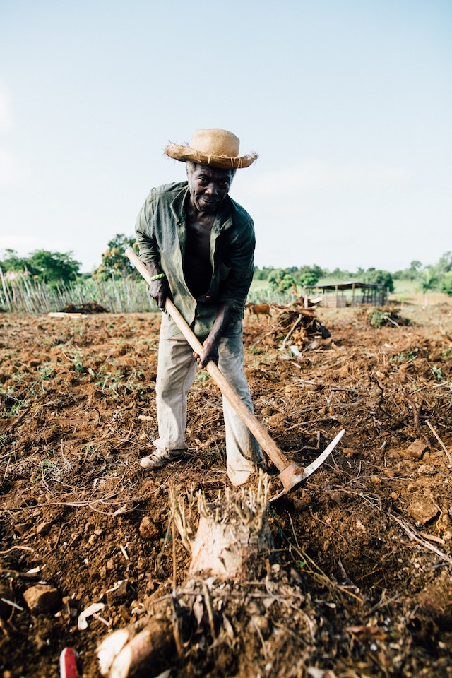A farmer manually tilling the land