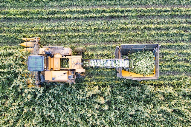 A tractor harvesting crops on a field